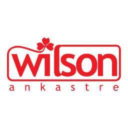 Küçükçekmece Wilson Servis